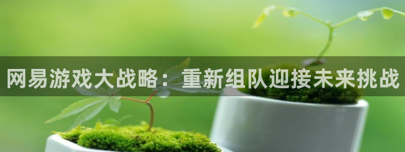 极悦娱乐4招商：网易游戏大战略：重新组队迎接未来挑战