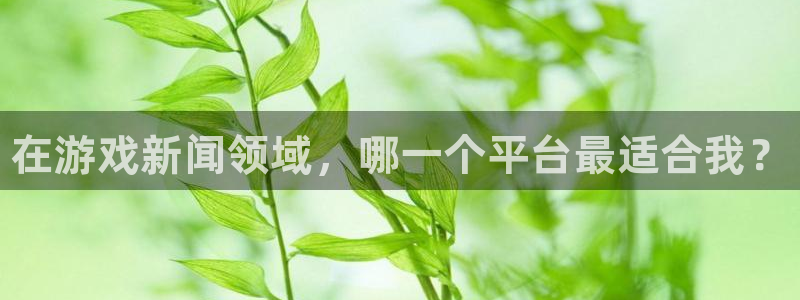 极悦娱乐app下载：在游戏新闻领域，哪一个平台最适合我？