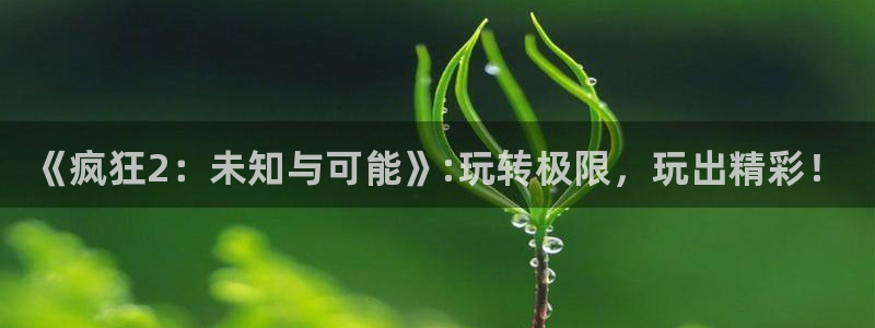 极悦娱乐登录地址：《疯狂2：未知与可能》:玩转极限，玩出精彩