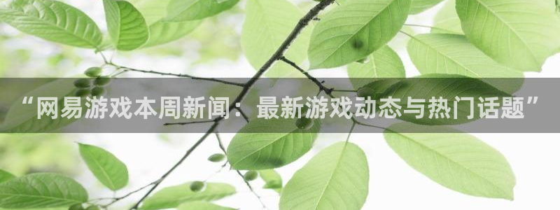 极悦娱乐是什么：“网易游戏本周新闻：最新游戏动态与热门话题”