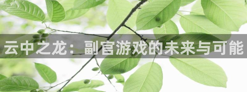 沐春极悦娱乐：云中之龙：副官游戏的未来与可能