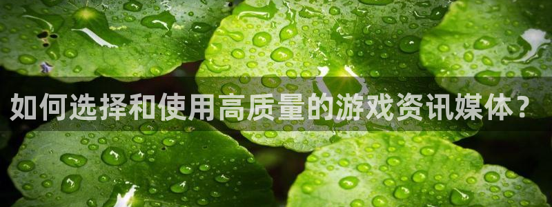 极悦娱乐平台官网入口：如何选择和使用高质量的游戏资讯媒体？