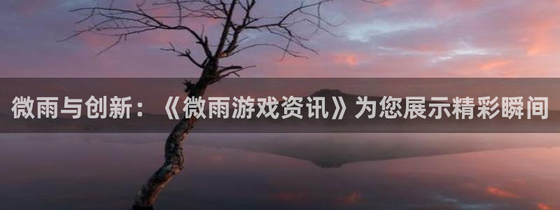 极悦娱乐科技：微雨与创新：《微雨游戏资讯》为您展示精彩瞬间