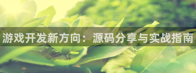 极悦娱乐：游戏开发新方向：源码分享与实战指南