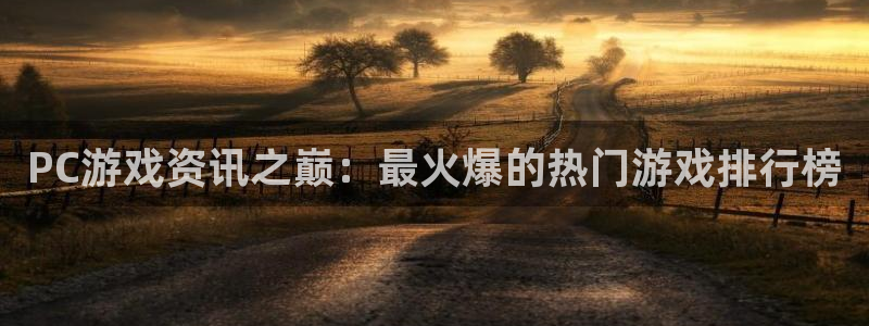 极悦娱乐平台官方网站：PC游戏资讯之巅：最火爆的热门游戏排行