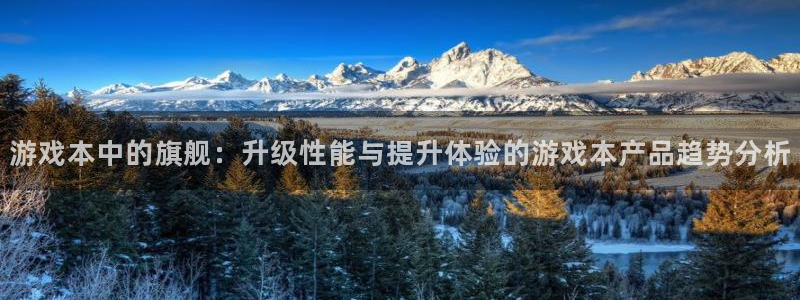 极悦娱乐手机网页版登录：游戏本中的旗舰：升级性能与提升体验的