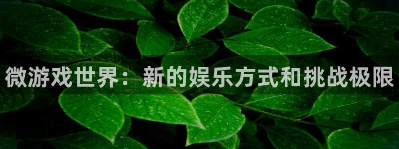 极悦娱乐测速：微游戏世界：新的娱乐方式和挑战极限