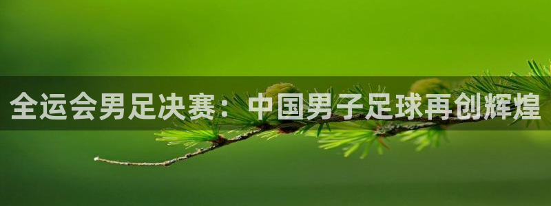 360五星体育直播网：全运会男足决赛：中国男子足球再创辉煌