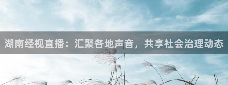 360足球直播网：湖南经视直播：汇聚各地声音，共享社会治理动态