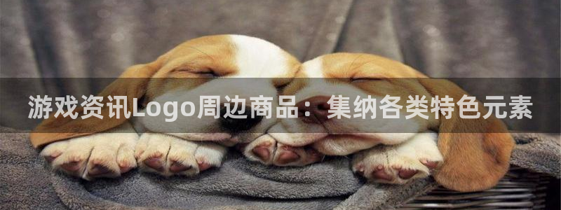极悦娱乐平台注册资金多少：游戏资讯Logo周边商品：集纳各类