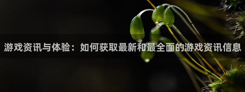极悦娱乐平台官网注册：游戏资讯与体验：如何获取最新和最全面的