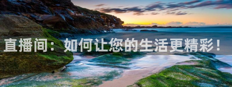 雨燕360体育在线直播免费直播：直播间：如何让您的生活更精彩！