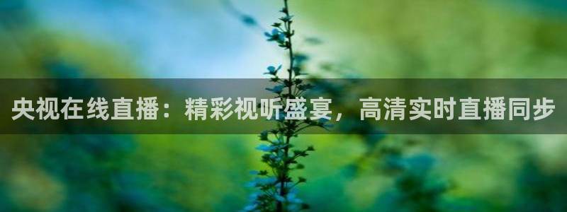 360度无插件体育直播网：央视在线直播：精彩视听盛宴，高清实时直播同步